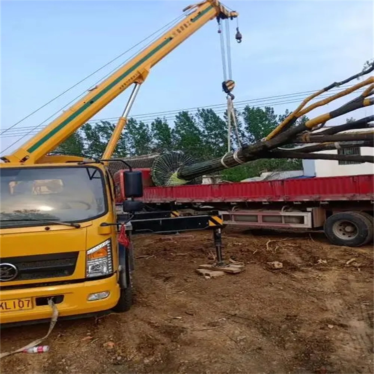 沙洋100吨吊车租赁费用怎么算？3大关键因素+省钱技巧全解析